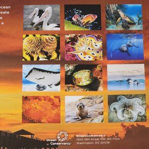 2NEW 2023 Ocean Conservancy OCEAN WILDLIFE Calendar Beautiful photos  & Notecard